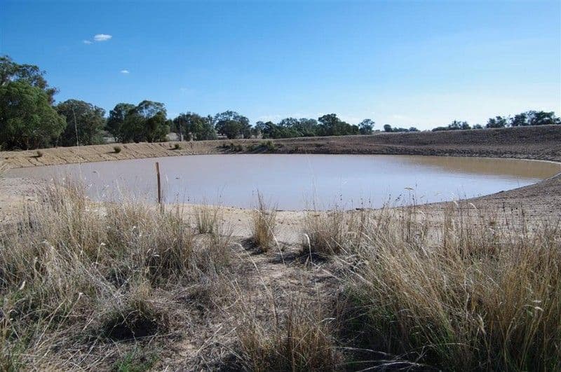 546 Clifton Ring Road, HOLBROOK NSW 2644, Holbrook - Thumbnail 4