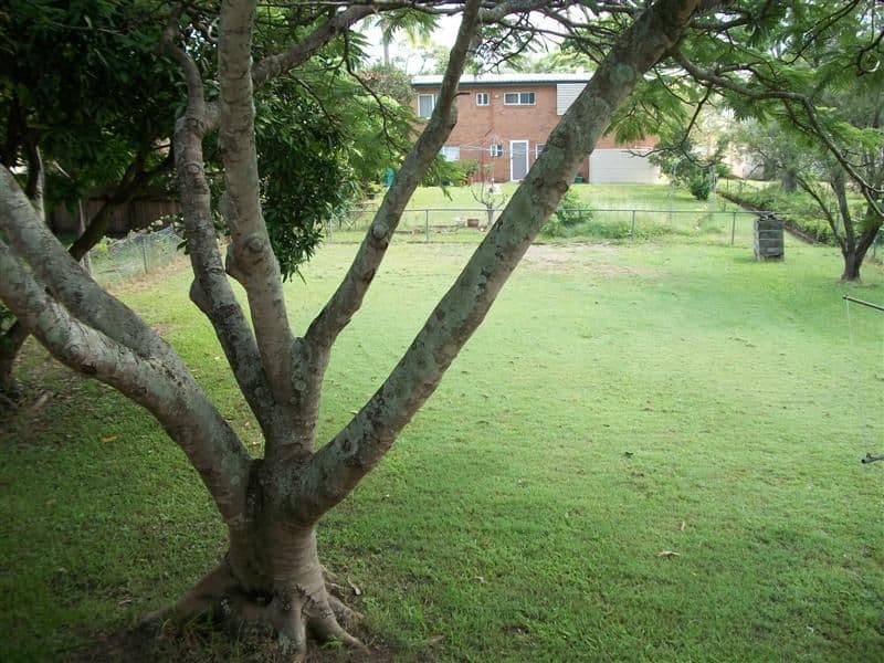 16 Harback Street, ZILLMERE QLD 4034, Zillmere - Thumbnail 3