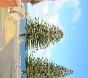 3/2 Bridge Court, VICTOR HARBOR SA 5211, Victor Harbor - Thumbnail 3