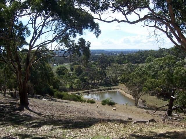 Lot 29 Robinson Road, MEADOWS SA 5201, Meadows - Image 1