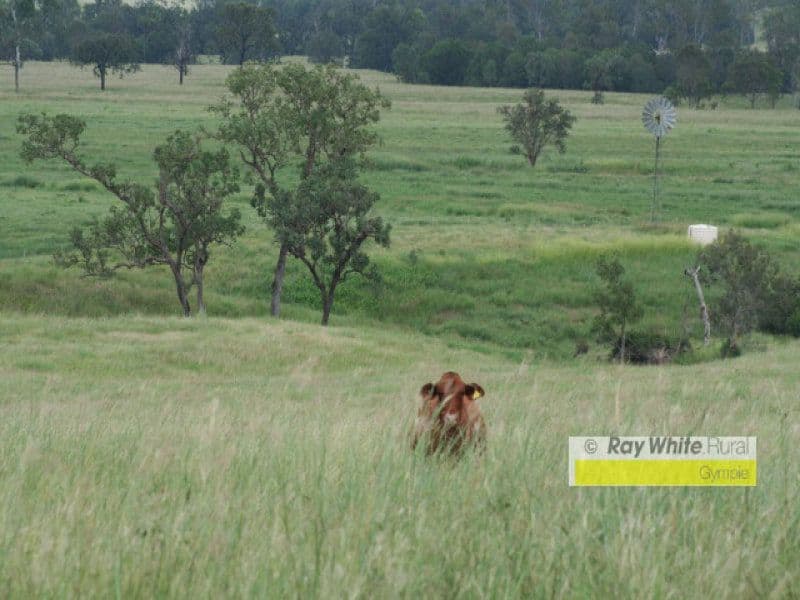 CINNABAR QLD 4600, Cinnabar - Thumbnail 3