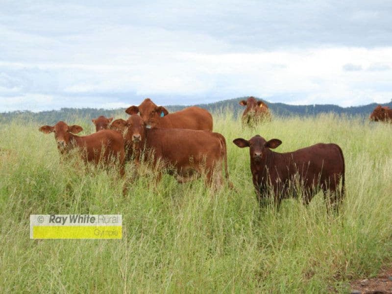 CINNABAR QLD 4600, Cinnabar - Image 1