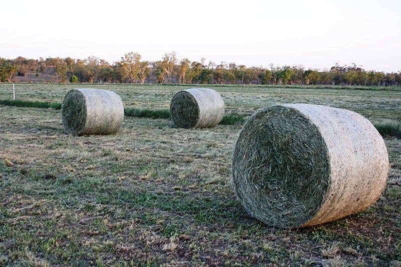 229 Coonambula-Eisdvold Road, MUNDUBBERA QLD 4626, Mundubbera - Thumbnail 3