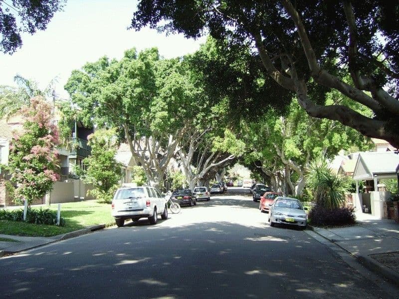 16 Figtree Avenue, RANDWICK NSW 2031, Randwick - Thumbnail 3