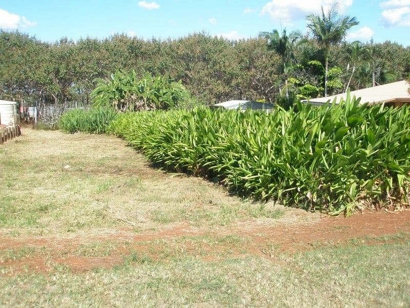 7 Sergiacomi Street, GOOBURRUM QLD 4670, Gooburrum - Thumbnail 2