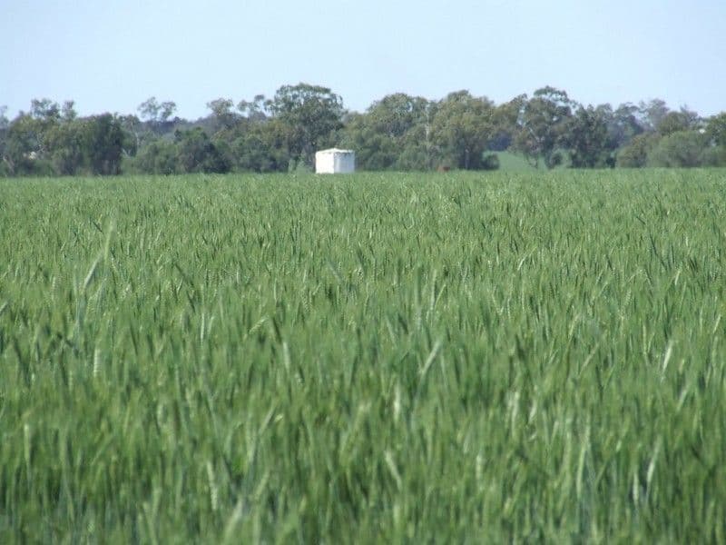 NORTH STAR NSW 2408, North Star - Thumbnail 3
