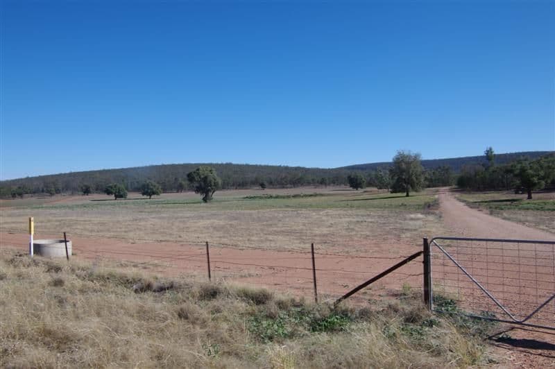 "Braemar" Colinroobie Road, LEETON NSW 2705, Leeton - Thumbnail 2