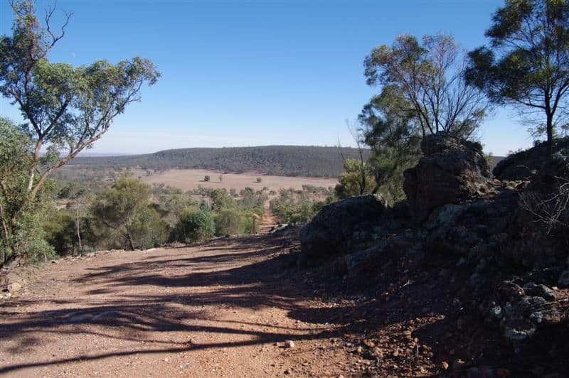 "Braemar" Colinroobie Road, LEETON NSW 2705, Leeton - Thumbnail 5