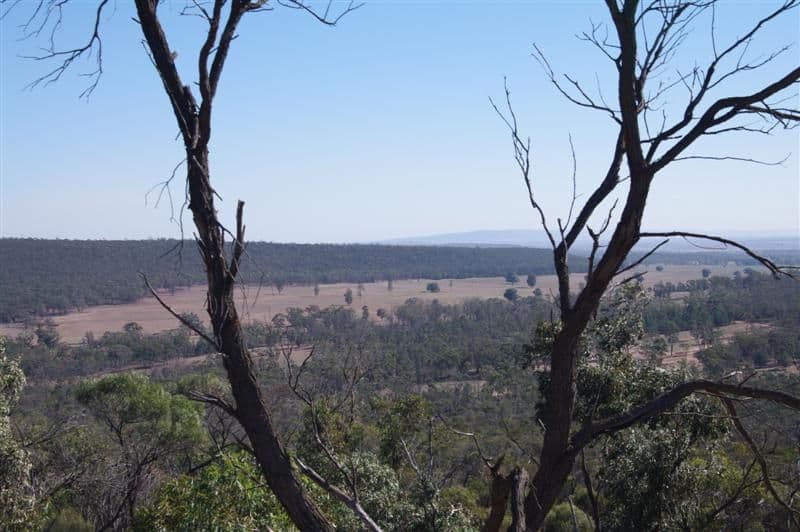 "Braemar" Colinroobie Road, LEETON NSW 2705, Leeton - Thumbnail 6