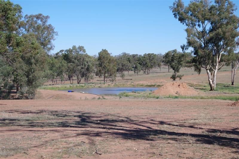 "Braemar" Colinroobie Road, LEETON NSW 2705, Leeton - Thumbnail 7