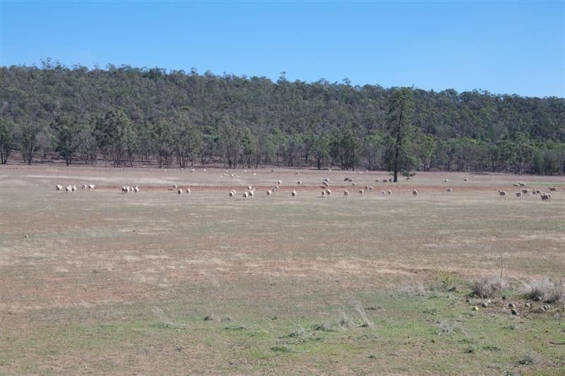 "Braemar" Colinroobie Road, LEETON NSW 2705, Leeton - Thumbnail 8