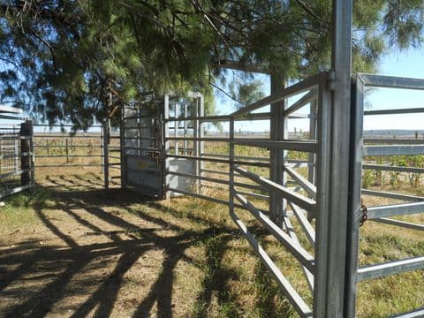 1723 Clifton-Pittsworth Road, PITTSWORTH QLD 4356, Pittsworth - Thumbnail 8