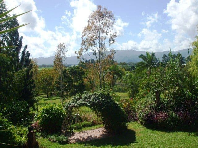 2345 Abergowrie Road, LONG POCKET QLD 4850, Long Pocket - Thumbnail 3