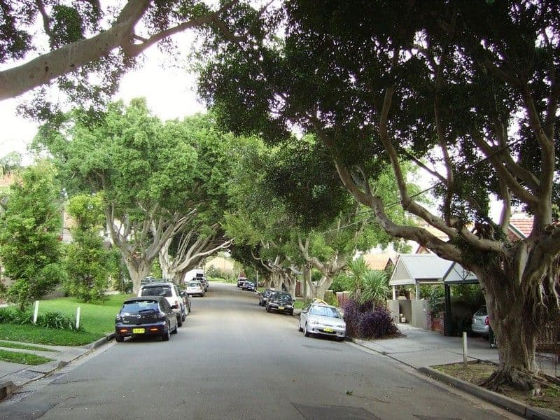 16 Figtree Avenue, RANDWICK NSW 2031, Randwick - Thumbnail 5