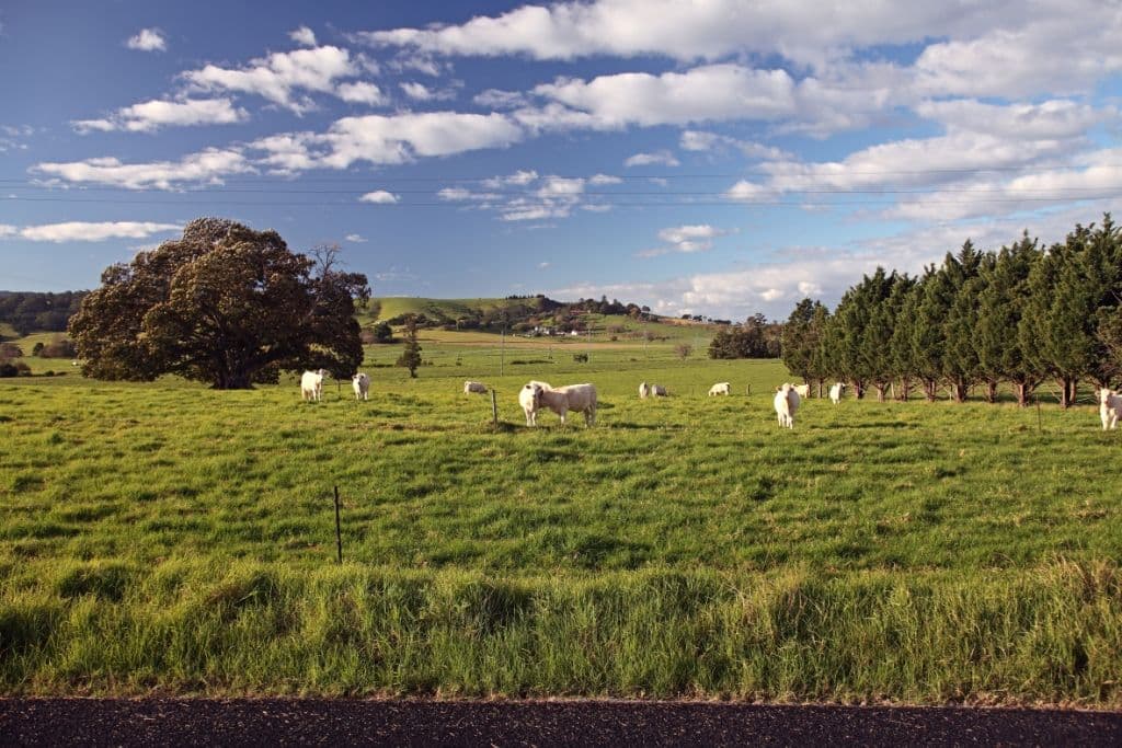 TOOLIJOOA NSW 2534, Toolijooa - Thumbnail 5