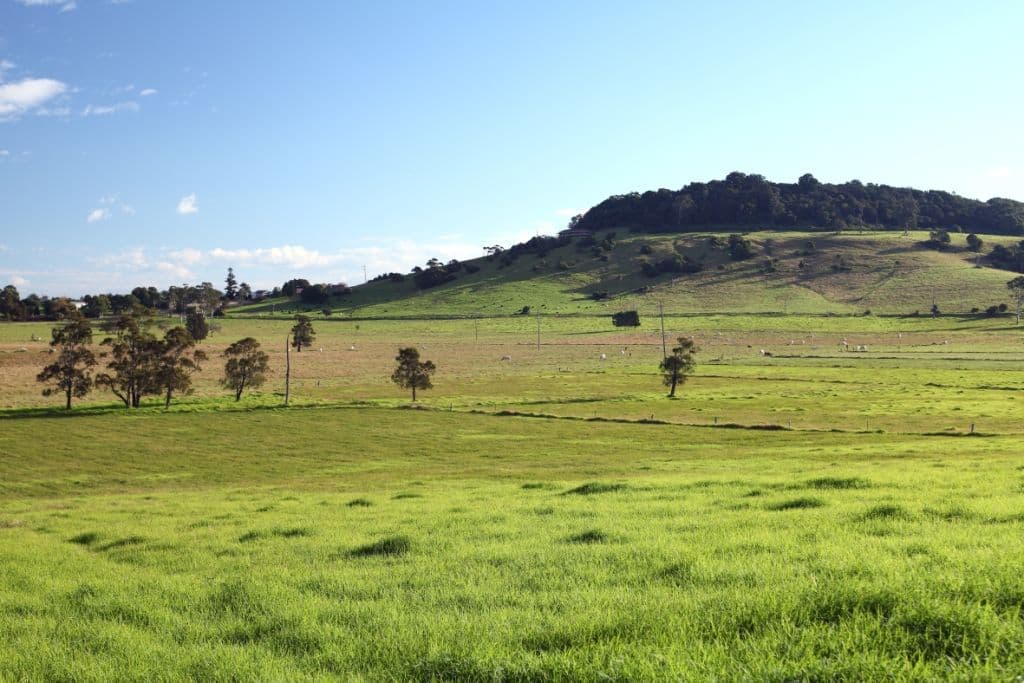 TOOLIJOOA NSW 2534, Toolijooa - Thumbnail 6