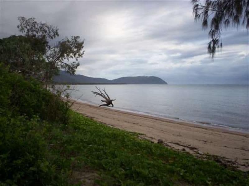 43 West Street, BLOOMFIELD QLD 4895, Bloomfield - Thumbnail 4
