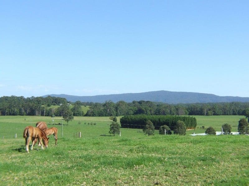 483 Mardells Road, COFFS HARBOUR NSW 2450, Coffs Harbour - Thumbnail 8