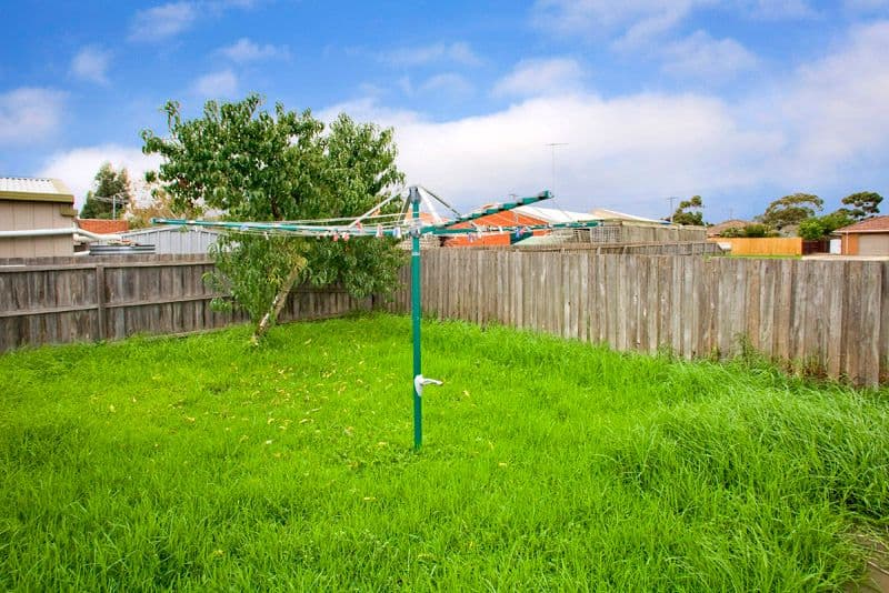 7 The Whitewater, Mount Annan, NSW, 2567, Mount Annan - Thumbnail 6