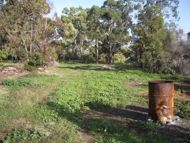 39 Green Street, BORDERTOWN SA 5268, Bordertown - Thumbnail 8