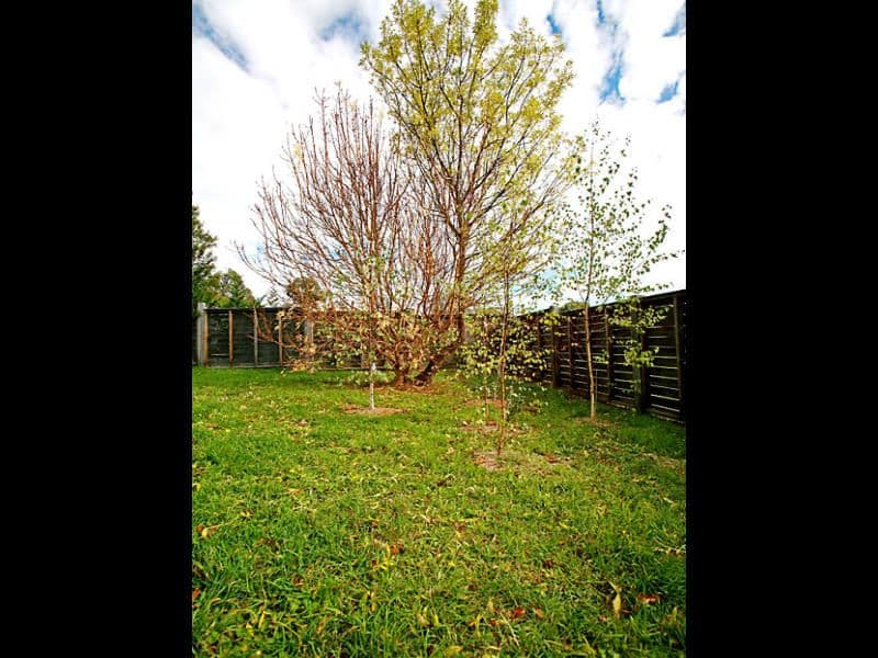 64 Wilson Street, BRAIDWOOD NSW 2622, Braidwood - Thumbnail 3