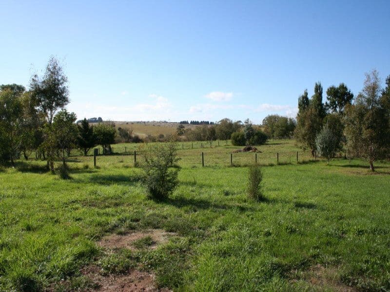 Araluen Road, BRAIDWOOD NSW 2622, Braidwood - Image 1