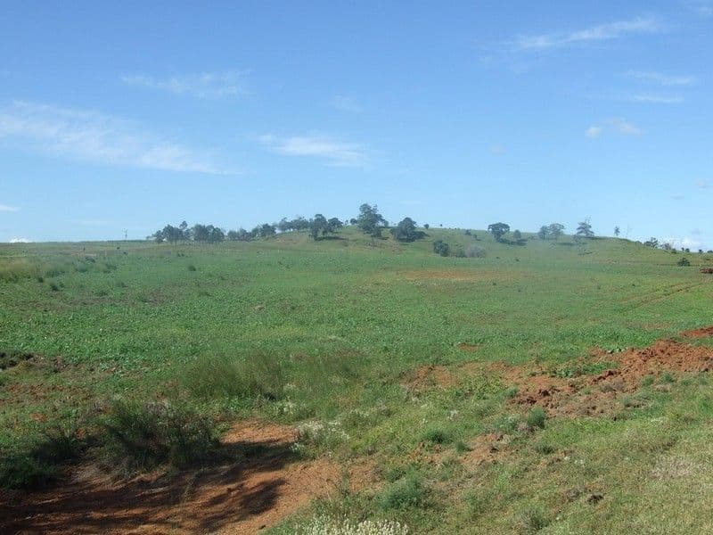 996 Gormoran - Bergen Road, HADEN QLD 4353, Haden - Thumbnail 5