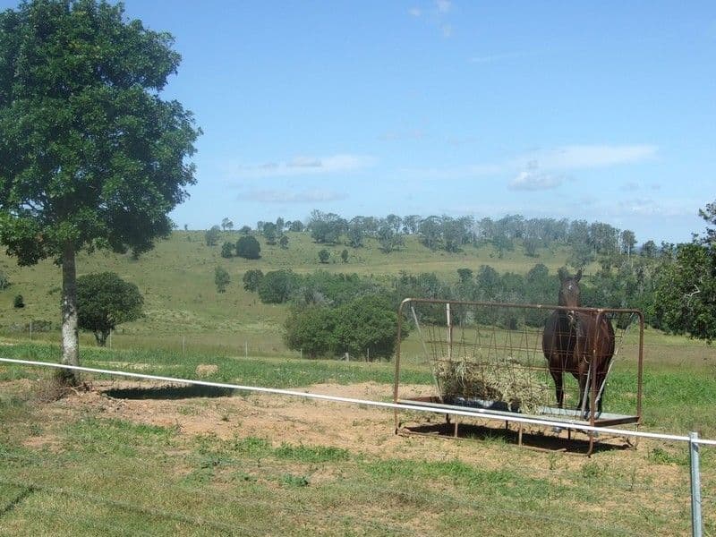 996 Gormoran - Bergen Road, HADEN QLD 4353, Haden - Thumbnail 7
