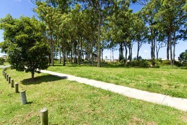 24 Sequoia Street, THORNLANDS QLD 4164, Thornlands - Thumbnail 2