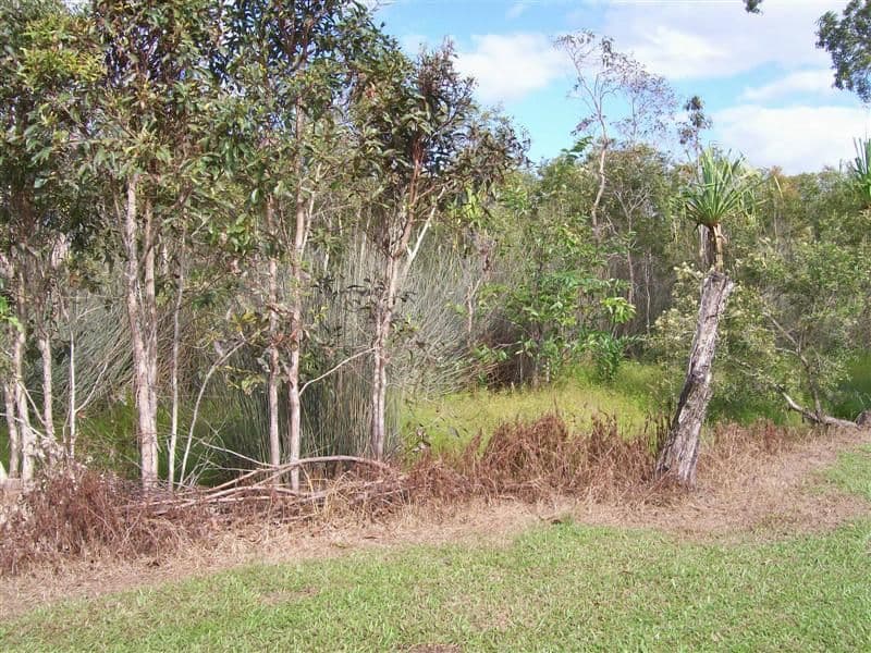 Rural post 204 Etty Bay Road, ETTY BAY QLD 4858, Etty Bay - Thumbnail 6