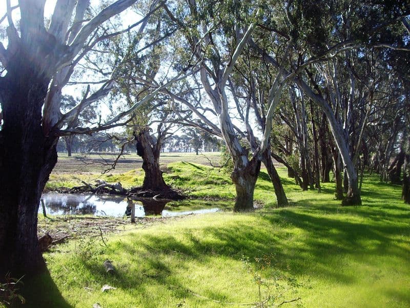 "Coes" Coes Road, NAGAMBIE VIC 3608, Nagambie - Image 1