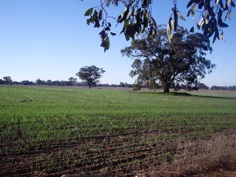 "Coes" Coes Road, NAGAMBIE VIC 3608, Nagambie - Thumbnail 2