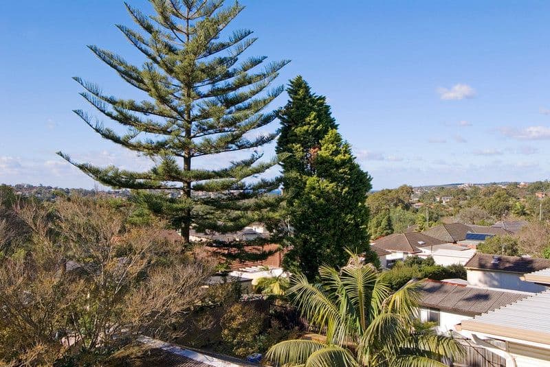 11 Maroa Crescent, ALLAMBIE HEIGHTS NSW 2100, Allambie Heights - Thumbnail 8