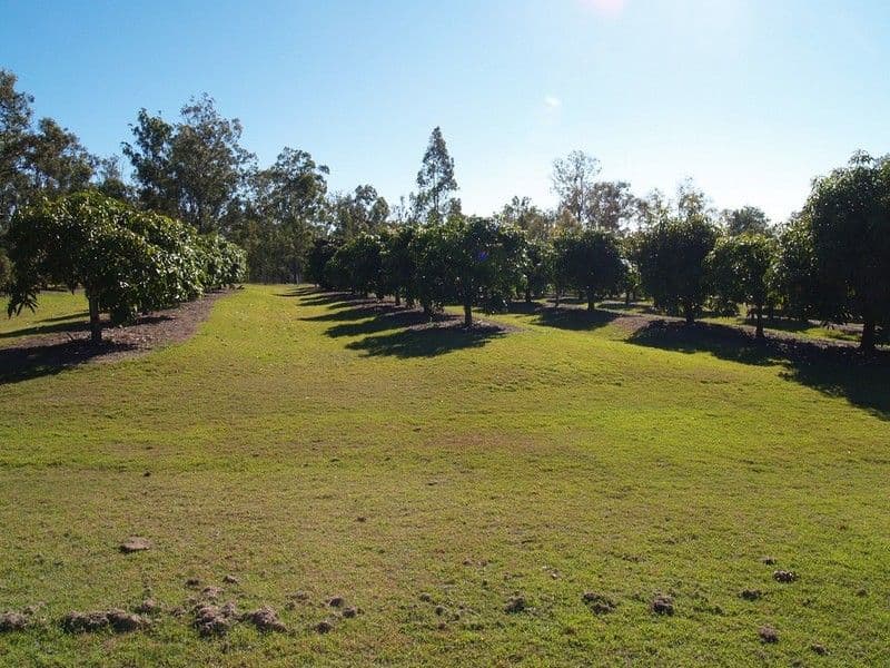 1 Tarantall Road, FOREST HILL QLD 4342, Forest Hill - Thumbnail 8