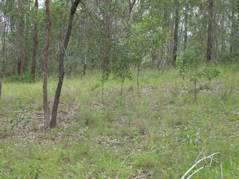 201 Mona Drive, JIMBOOMBA QLD 4280, Jimboomba - Thumbnail 2