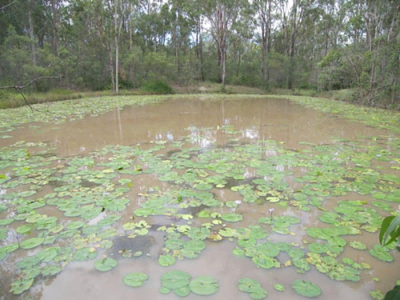 201 Mona Drive, JIMBOOMBA QLD 4280, Jimboomba - Thumbnail 3