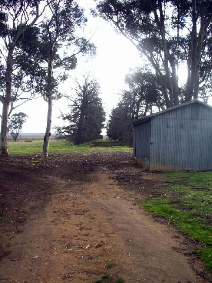 Lot 12 -  Gums Buckingham Road, MUNDULLA SA 5270, Mundulla - Thumbnail 6