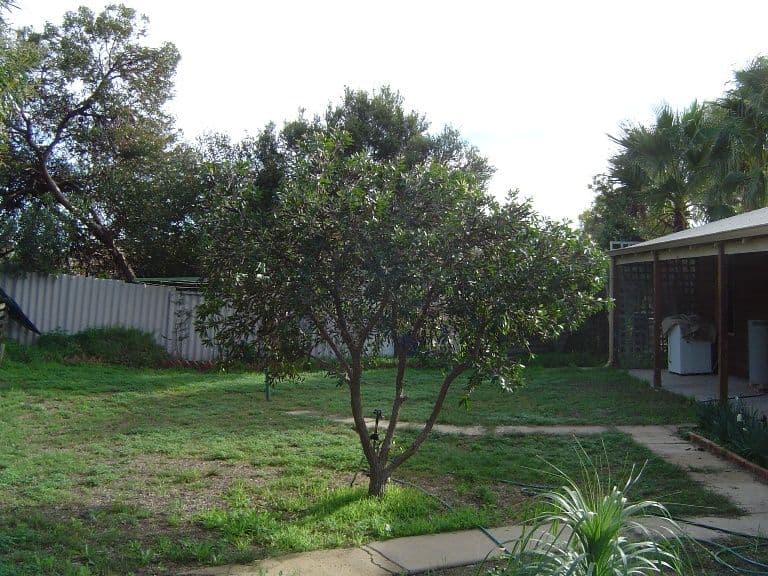 251 Point Leander Drive, PORT DENISON WA 6525, Port Denison - Thumbnail 8