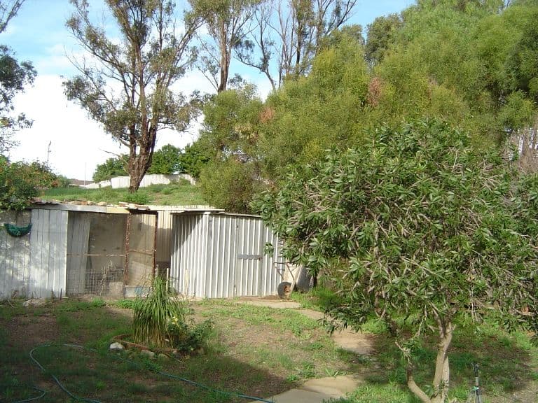 251 Point Leander Drive, PORT DENISON WA 6525, Port Denison - Thumbnail 3