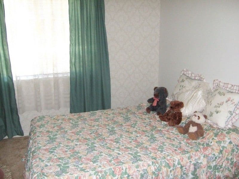 557 Sturt Street, BROKEN HILL NSW 2880, Broken Hill - Thumbnail 6