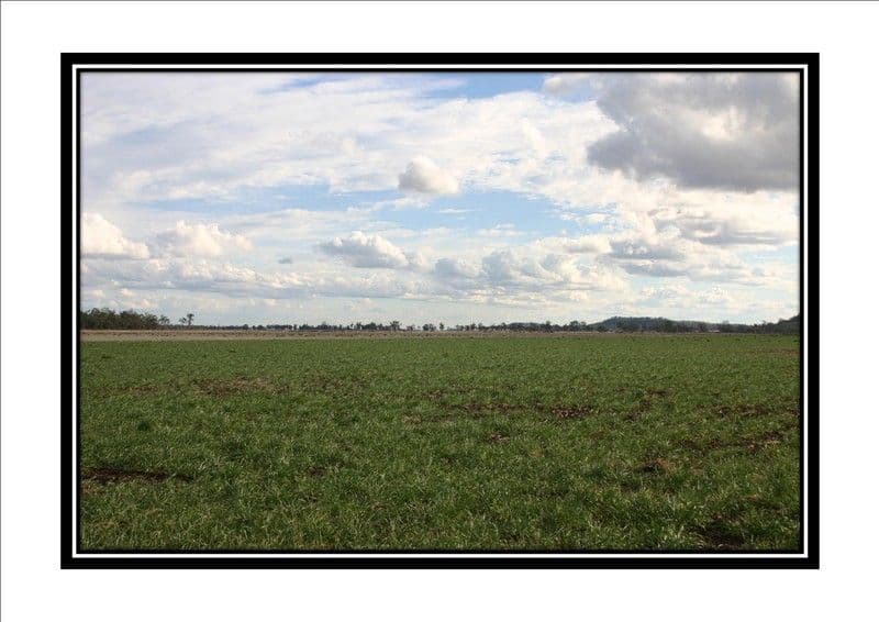 DALBY QLD 4405, Dalby - Thumbnail 8