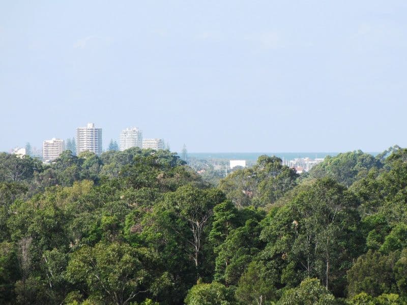 26 Buderim Vista Court, BUDERIM QLD 4556, Buderim - Image 1