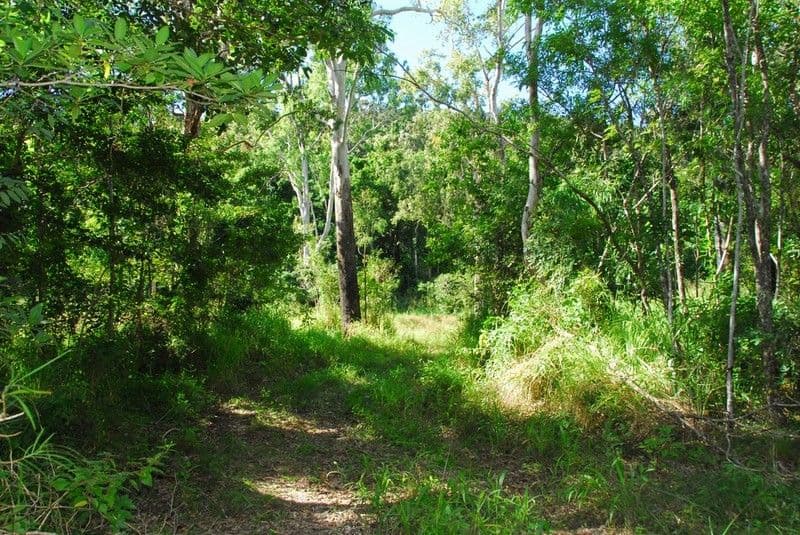 Lot 3 Mandalay Close, MANDALAY QLD 4802, Mandalay - Thumbnail 2