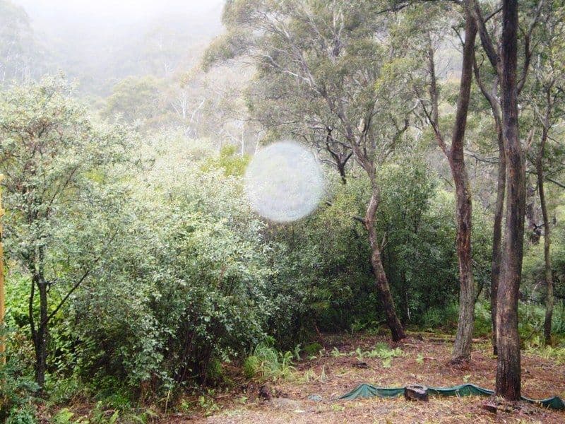 35 Rodriguez Avenue, BLACKHEATH NSW 2785, Blackheath - Thumbnail 2
