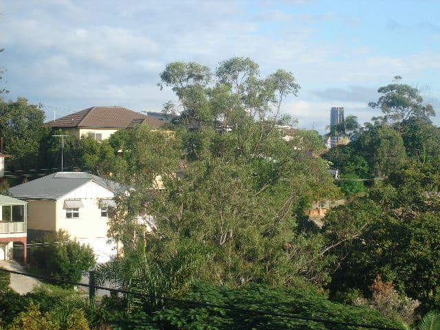 29 Aventine Street, SEVEN HILLS QLD 4170, Seven Hills - Thumbnail 6