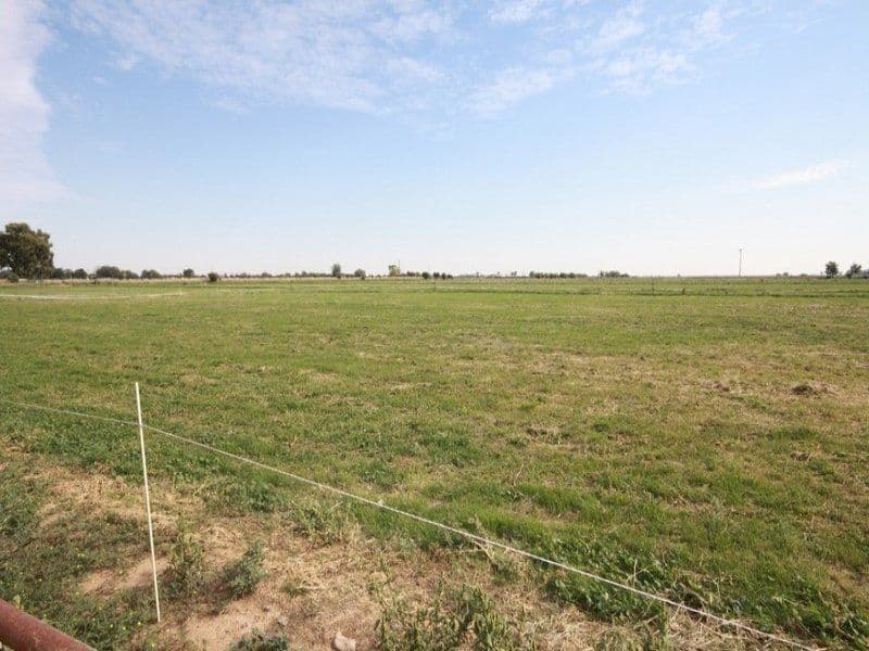 924 Lowe Road, BALLENDELLA VIC 3561, Ballendella - Thumbnail 3