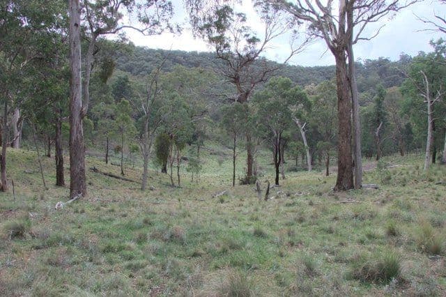 0 High Top Track, BATHURST NSW 2795, Bathurst - Image 1