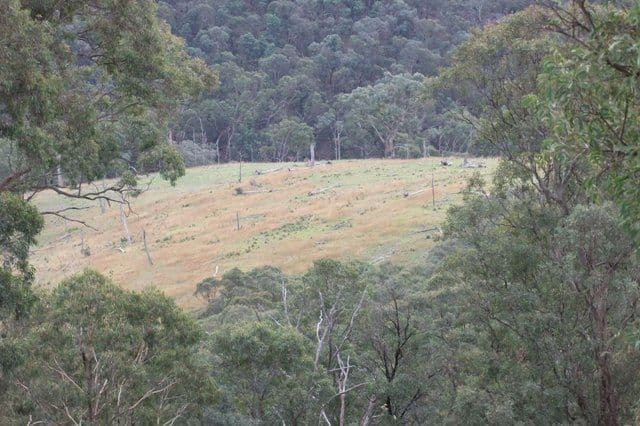 0 High Top Track, BATHURST NSW 2795, Bathurst - Thumbnail 6