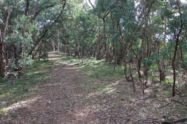 0 High Top Track, BATHURST NSW 2795, Bathurst - Thumbnail 7