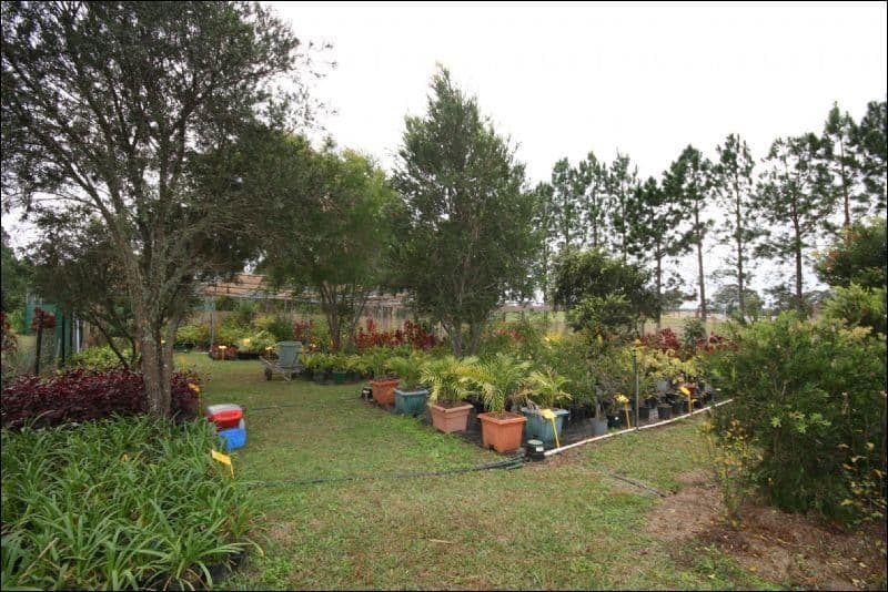 374 Braunstone Road, BRAUNSTONE NSW 2460, Braunstone - Thumbnail 2